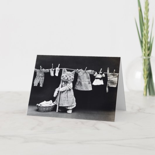 ヴィンテージの子犬および子ネコのメッセージカード カード (正面)