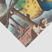 ヴィンテージの孔雀および猫 薄葉紙 (詳細)