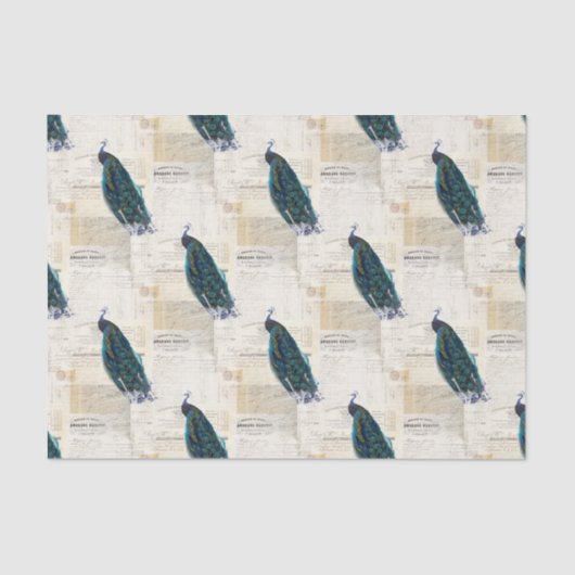 ヴィンテージの孔雀のフランスのな短命なもののティッシュペーパー 薄葉紙 (正面)