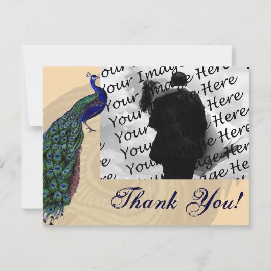 ヴィンテージの孔雀の写真のサンキューカード サンキューカード (正面)