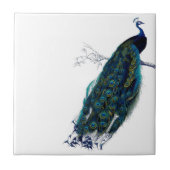 ヴィンテージの孔雀 タイル (正面)