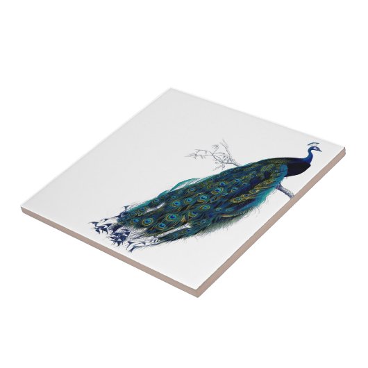 ヴィンテージの孔雀 タイル (側面)