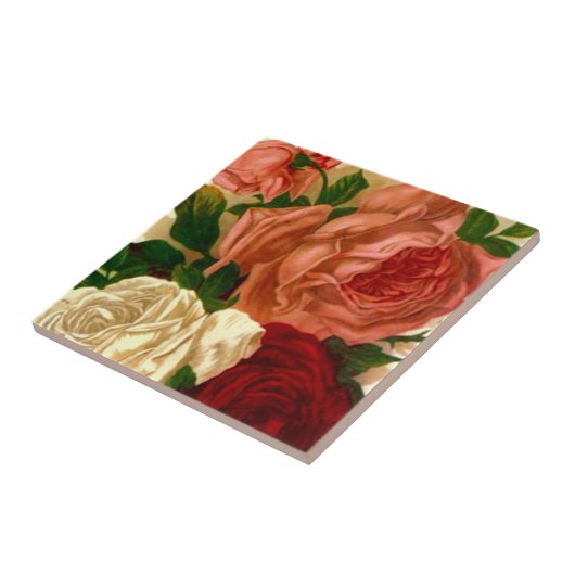 ヴィンテージの家宝のバラの旧式で古い赤面のばら色のタイル タイル (側面)