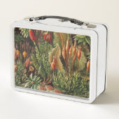 ヴィンテージの寿命 メタルランチボックス (裏面)