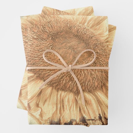 ヴィンテージの巨大なヒマ色彩の鮮やかショメ素朴ント ラッピングペーパーシート (インサイチュ)