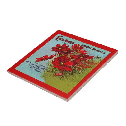 ヴィンテージの広告の広告の宇宙のブランドのフルーツの木枠のラベルのタイル タイル (側面)