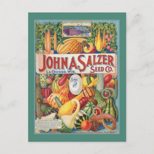ヴィンテージの庭の種の包みの郵便はがき ポストカード (正面)