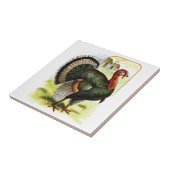 ヴィンテージの引くこと: トルコ タイル (側面)