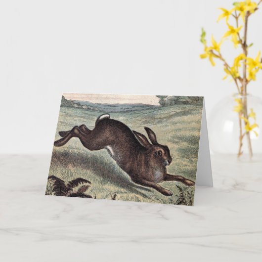 ヴィンテージの引くこと: 分野の連続したノウサギ カード (黄色い花)