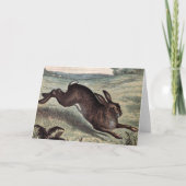 ヴィンテージの引くこと: 分野の連続したノウサギ カード (正面)