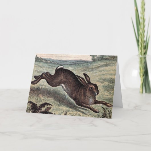 ヴィンテージの引くこと: 分野の連続したノウサギ カード (正面)