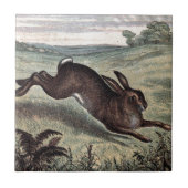 ヴィンテージの引くこと: 分野の連続したノウサギ タイル (正面)