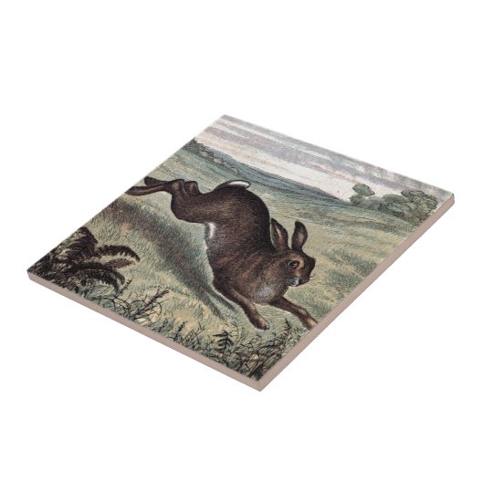 ヴィンテージの引くこと: 分野の連続したノウサギ タイル (側面)