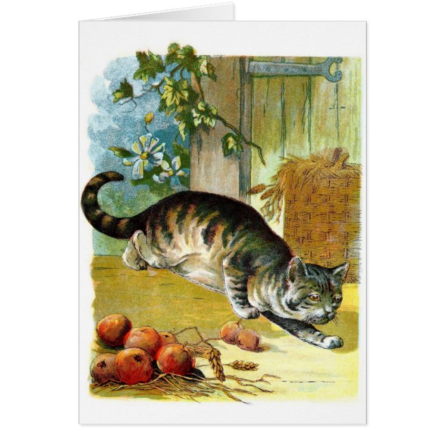 ヴィンテージの引くこと: 悪賢い猫 (正面)