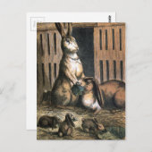 ヴィンテージの引くこと: 誇り高いバニー親 ポストカード (正面/裏面)