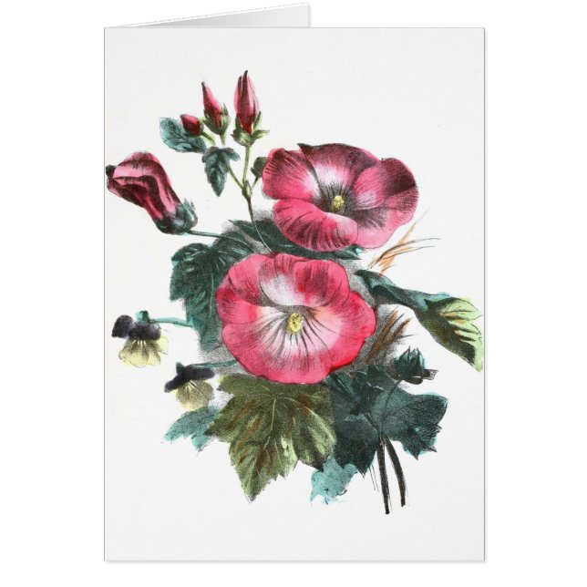 ヴィンテージの引くこと: 赤いMallow (正面)