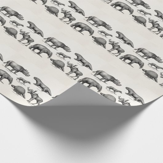 ヴィンテージの恐竜のイラストレーションのレトロの古い恐竜 ラッピングペーパー (角)