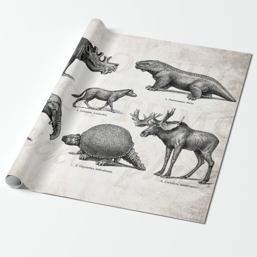 ヴィンテージの恐竜の古いイラストレーションのレトロの恐竜 ラッピングペーパー (アンロールド)
