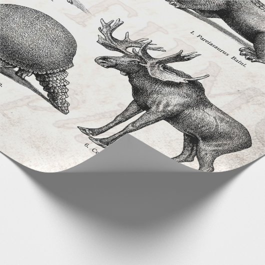 ヴィンテージの恐竜の古いイラストレーションのレトロの恐竜 ラッピングペーパー (角)