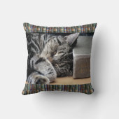 ヴィンテージの愛書家の睡眠猫のクッション クッション (裏面)