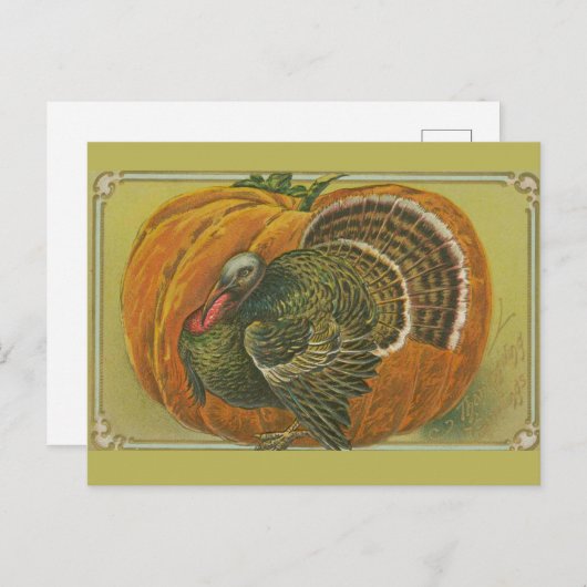 ヴィンテージの感謝祭の挨拶 ターキーとカボチャ ポストカード (正面/裏面)