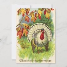 ヴィンテージの感謝祭トルコ