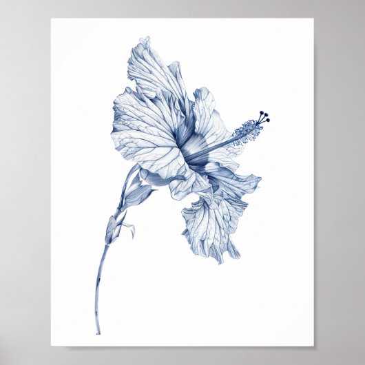 ヴィンテージの描画 ハイビスカスの花 ハイビスカスのスケッチ , ポスター (正面)