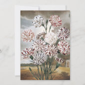 ヴィンテージの斑入りのカーネーションの花と灰色の空 (正面)