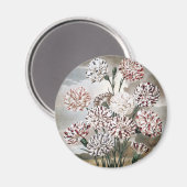 ヴィンテージの斑入りのカーネーションの花と灰色の空 マグネット (正面/裏面)