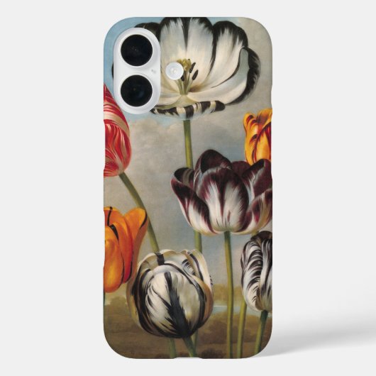 ヴィンテージの斑入りのチューリップの花を背景にした風景 Case-Mate iPhoneケース (裏面)