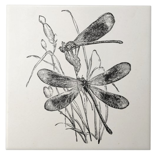 ヴィンテージの新しいトンボのパーソナライズなテンプレート タイル (正面)