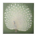 ヴィンテージの日本のなファインアート|の白い孔雀 タイル<br><div class="desc">NewParkLane -緑の背景に対してヴィンテージを、白い孔雀が付いている20世紀初頭の日本人のプリント、特色にするエレガントな写真のタイル。 
元の絵画はアムステルダムのRijksmuseumの有名なコレクションからのOhara Kosonによって行います。

一致項目があるようにこの日本のな芸術コレクションを確認して下さい。 特定の個人的なデザインの願いを有しますか。 またはこのコレクションのプロダクトのこのデザインが現在ほしいと思いますか。 私を連絡するために自由に感じれば私は幸福にあなたのためのそれを特別料金の自由にさせます!</div>