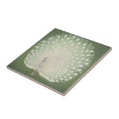 ヴィンテージの日本のなファインアート|の白い孔雀 タイル (側面)