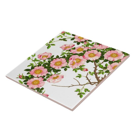 ヴィンテージの日本のな桜、ピンクおよび金ゴールド タイル (側面)