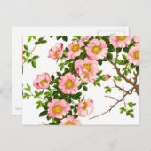 ヴィンテージの日本のな桜、ピンクおよび金ゴールド ポストカード (正面/裏面)