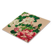 ヴィンテージの日本人のツバキ。 ベージュ色で濃いピンク タイル (側面)