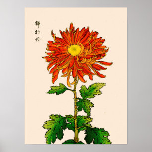 ヴィンテージの日本人の菊。 オレンジおよび金ゴールド ポスター