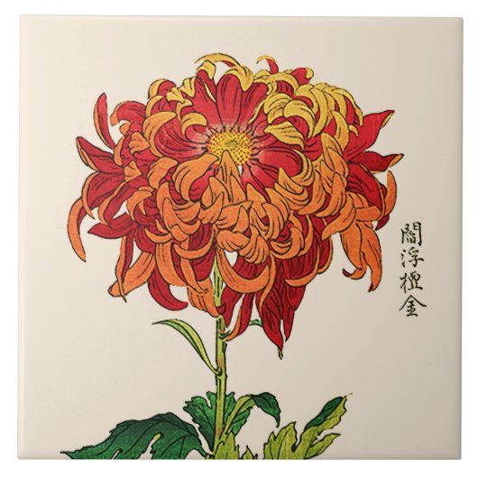 ヴィンテージの日本人の菊。 錆およびオレンジ タイル (正面)