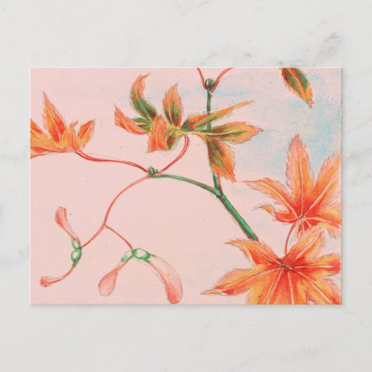 ヴィンテージの日本産マップルリーフ ポストカード (正面)