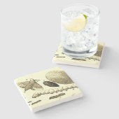 ヴィンテージの昆虫のイメージ|のカイコ|のガ ストーンコースター (横)