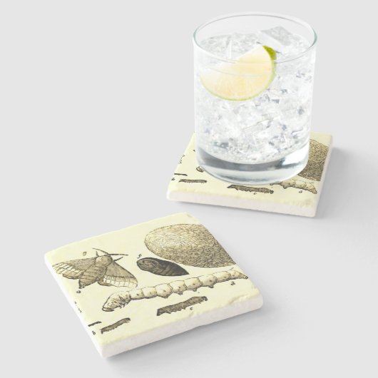 ヴィンテージの昆虫のイメージ|のカイコ|のガ ストーンコースター (横)