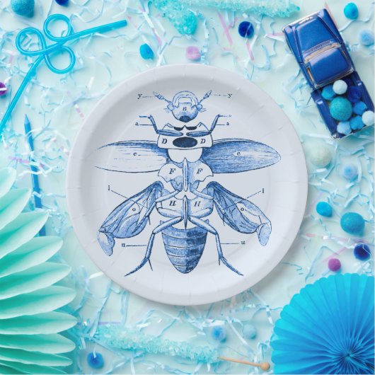 ヴィンテージの昆虫のイメージ|のカブトムシ|の青 ペーパープレート (パーティー)