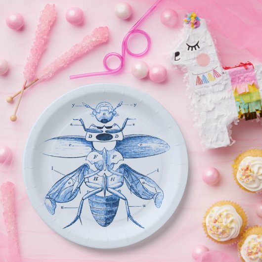 ヴィンテージの昆虫のイメージ|のカブトムシ|の青 ペーパープレート (パーティー)
