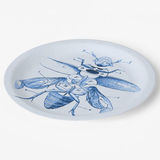 ヴィンテージの昆虫のイメージ|のカブトムシ|の青 ペーパープレート (アングル)