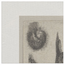 ヴィンテージの昆虫の昆虫学のチョウ目のタペストリー ファブリック