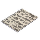 ヴィンテージの昆虫の昆虫学のチョウ目分野のノート ノートブック (左側)