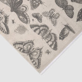 ヴィンテージの昆虫学のチョウ目の昆虫Decoupage 薄葉紙 (詳細)