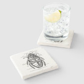 ヴィンテージの昆虫学のHydrophilidaeの清掃動物のカブトムシ ストーンコースター (横)