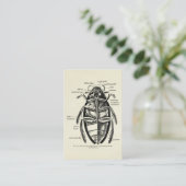 ヴィンテージの昆虫学のHydrophilidaeの清掃動物のカブトムシ 名刺 (スタンド正面)