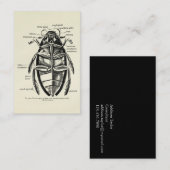 ヴィンテージの昆虫学のHydrophilidaeの清掃動物のカブトムシ 名刺 (正面/裏面)